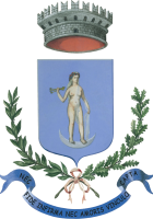 Comune di Verolanuova - logo